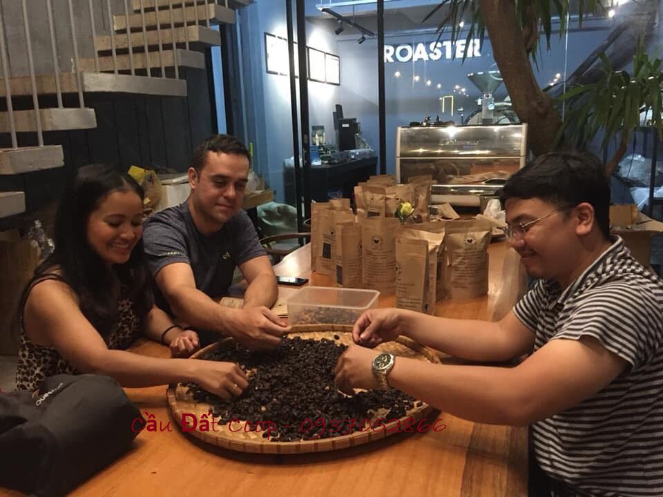 Cascara Coffee Cherry Tea – TRÀ CASCARA VỎ QUẢ CÀ PHÊ – Cầu Đất Coop - 3
